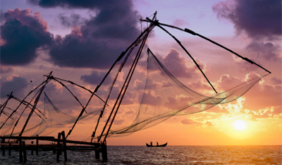 Cochin & Fort Cochin Sightseeing Tour 1 day